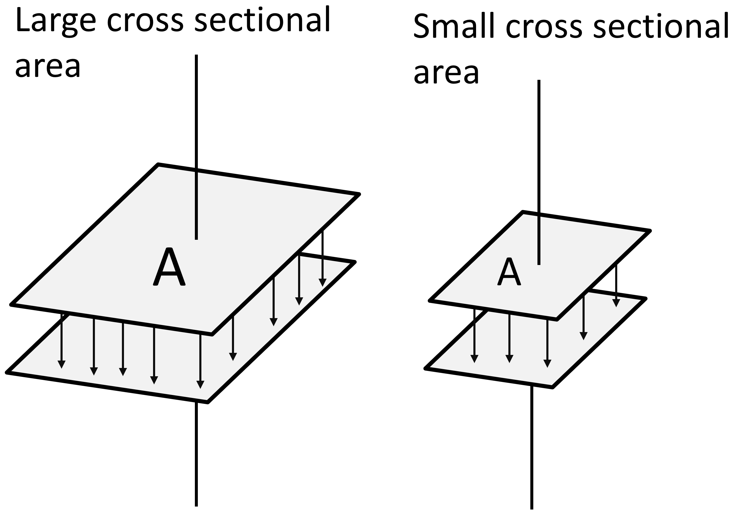 cross sectional area